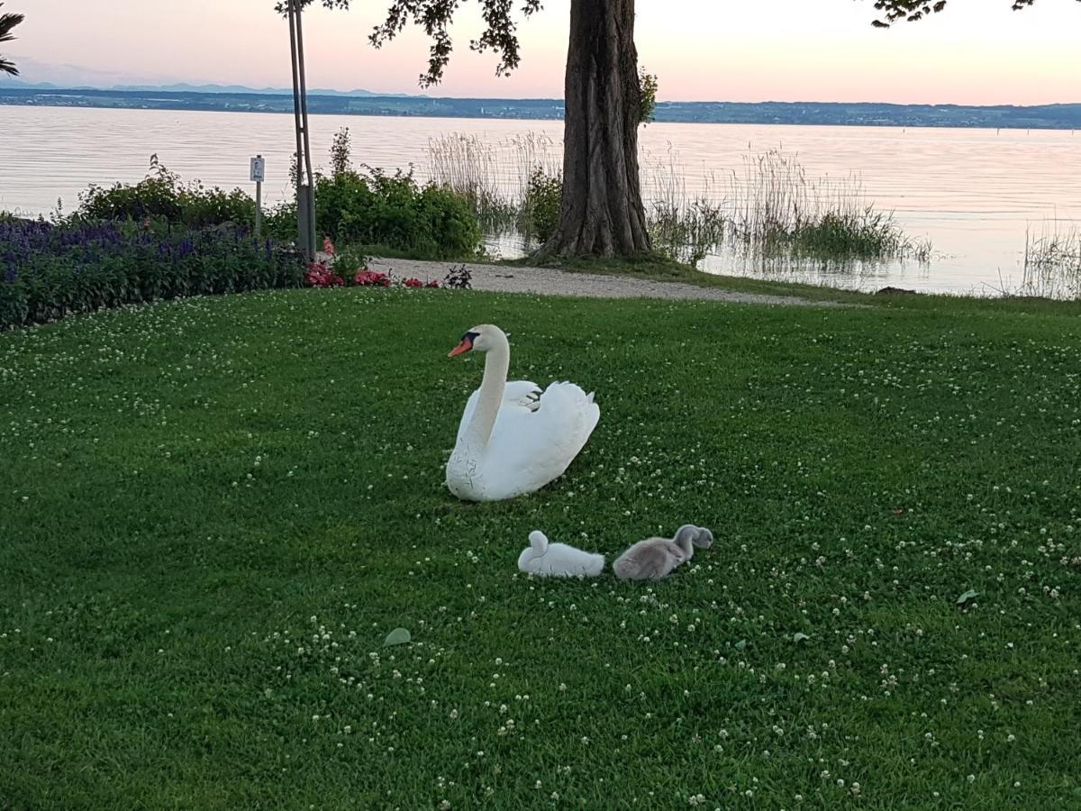 Malvelyns Am Bodensee 이멘슈타트암보덴지 외부 사진